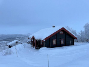 Cabin with Hot Tub and Panoramic Mountain Views